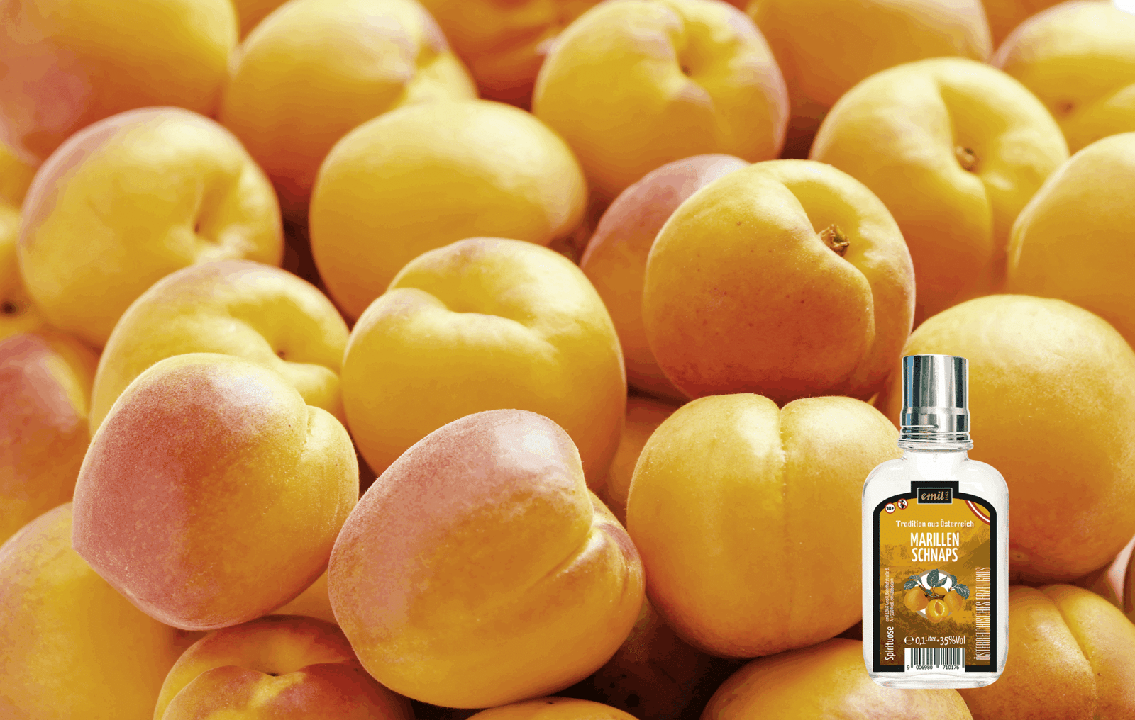 MARILLEN SCHNAPS – Bild 4