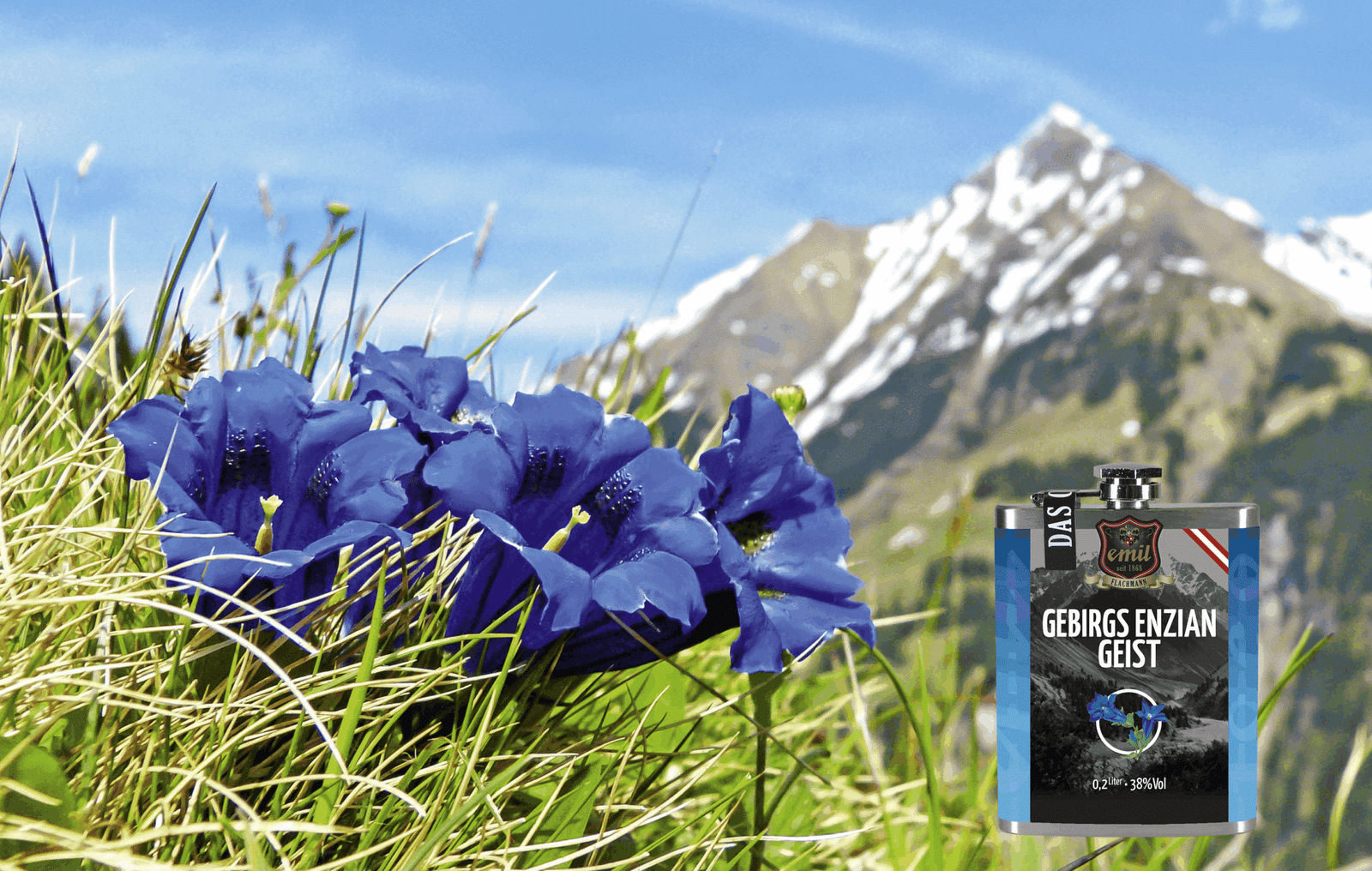 GEBIRGS ENZIAN GEIST – Bild 3