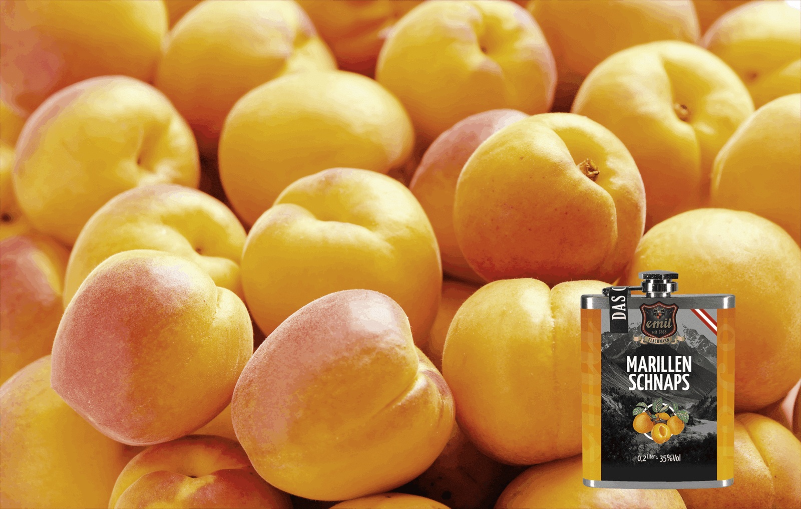MARILLEN SCHNAPS – Bild 3