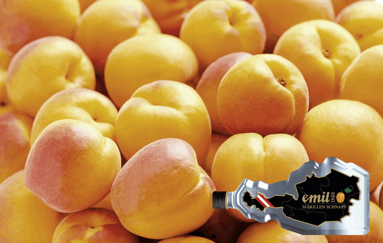 MARILLEN SCHNAPS – Bild 3