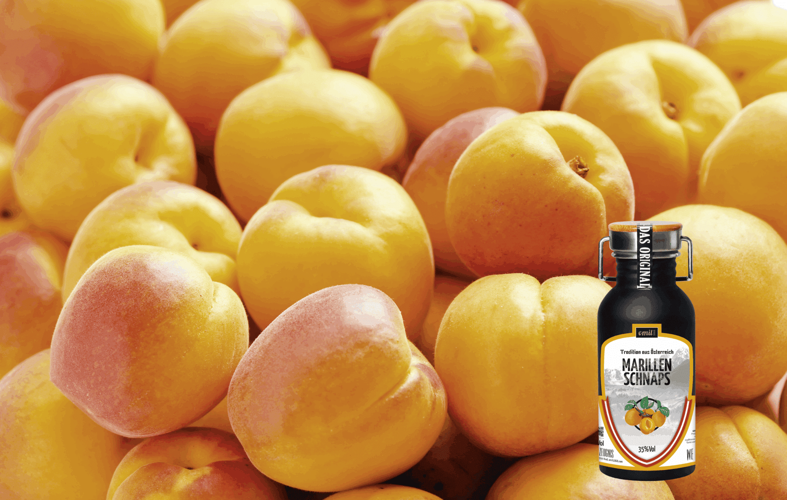 MARILLEN SCHNAPS – Bild 4